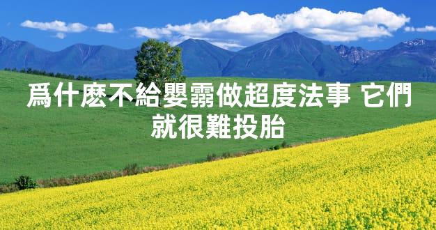 爲什麽不給嬰霛做超度法事 它們就很難投胎